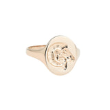 Gold Zodiac Signet Rings