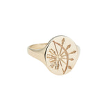 Gold Zodiac Signet Rings