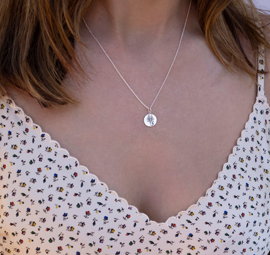 Silver Mini Zodiac Pendants